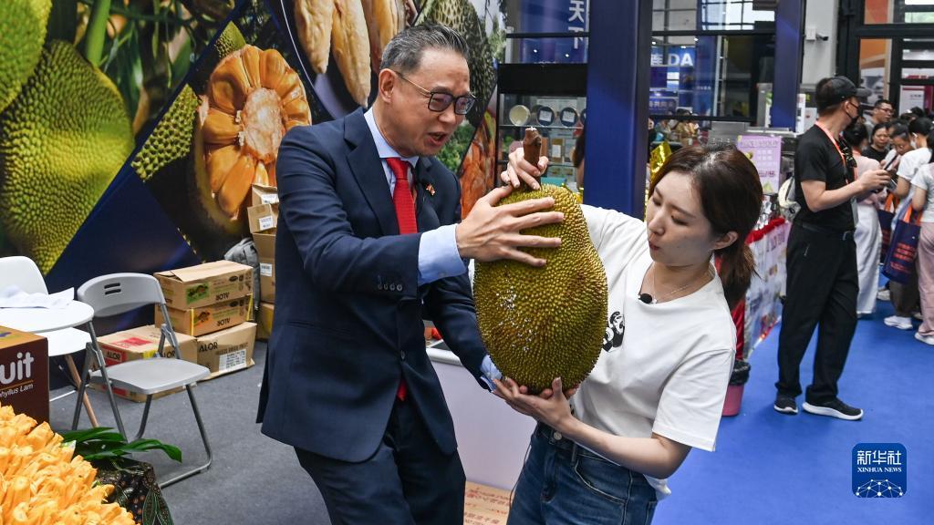 打牌网下载安卓